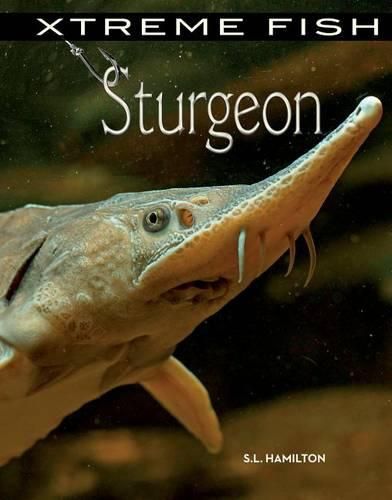 Sturgeon