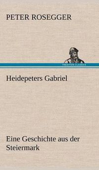 Cover image for Heidepeters Gabriel