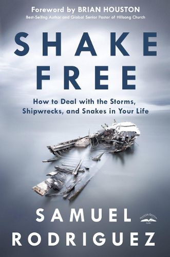 Cover image for Shake Free