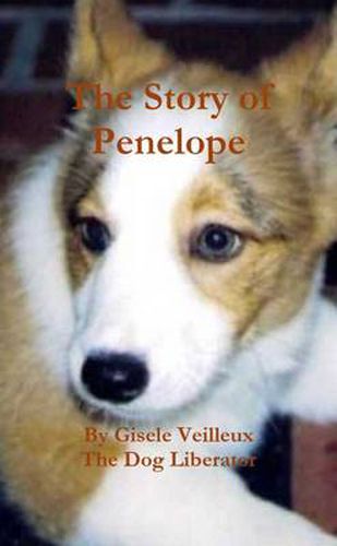 Cover image for The Story of Penelope