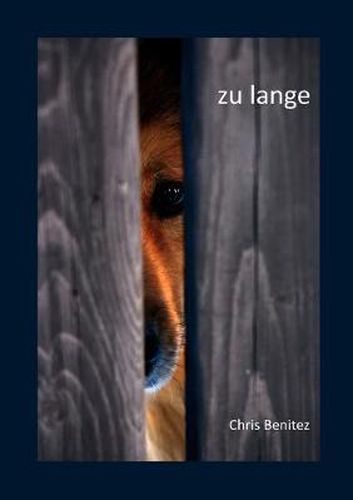 Cover image for zu lange