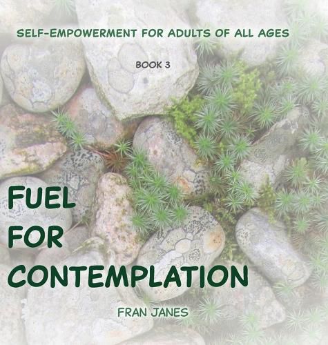 Cover image for Fuel for Contemplation