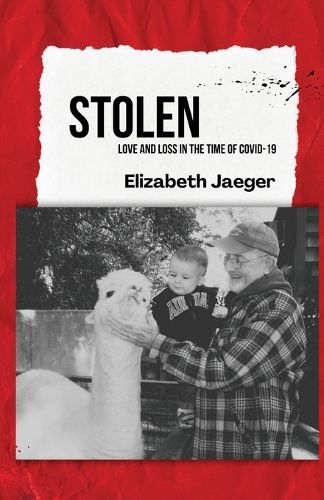 Cover image for Stolen
