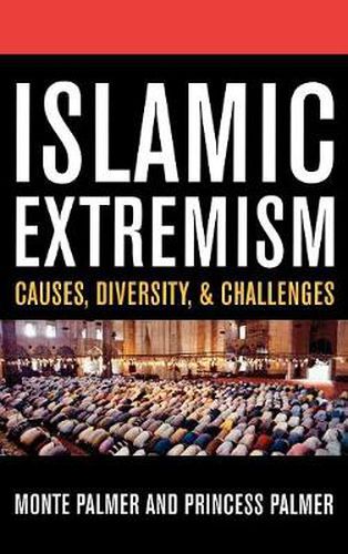 Cover image for Islamic Extremism: Causes, Diversity, and Challenges