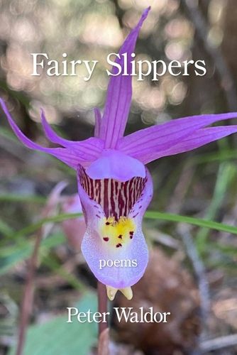 Cover image for Fairy Slippers