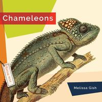 Cover image for Chameleons