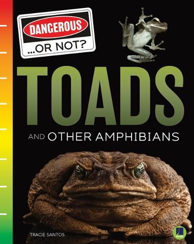 Cover image for Toads and Other Amphibians