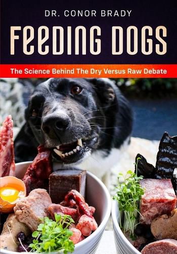 Cover image for Feeding Dogs Dry Or Raw? The Science Behind The Debate