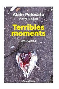 Cover image for Terribles moments nouvelles