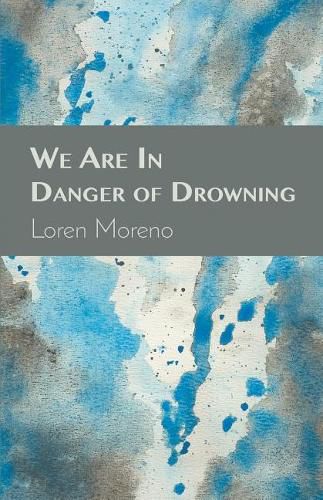 Cover image for We Are in Danger of Drowning