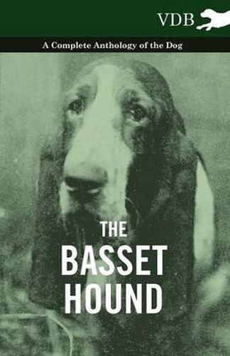 Cover image for The Basset Hound - A Complete Anthology of the Dog -