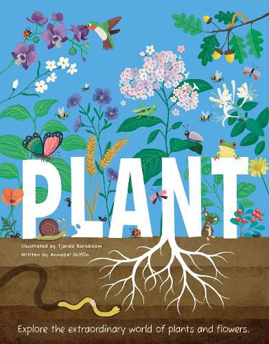 Cover image for Plant: Explore the Extraordinary World of Plants and Flowers