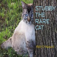 Cover image for Stubby The Rare Cat