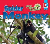 Cover image for Animals of the Amazon Rainforest: Spider Monkey