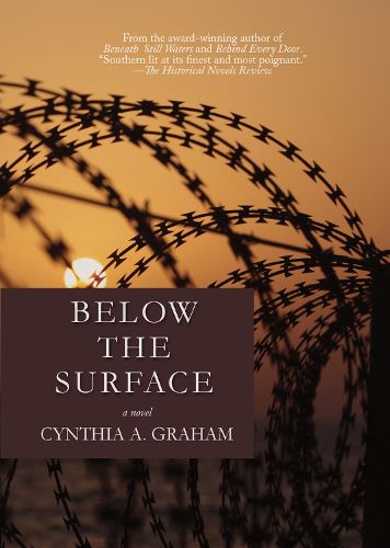 Cover image for Below the Surface