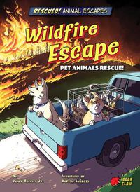 Cover image for Wildfire Escape: Pet Animals Rescue!