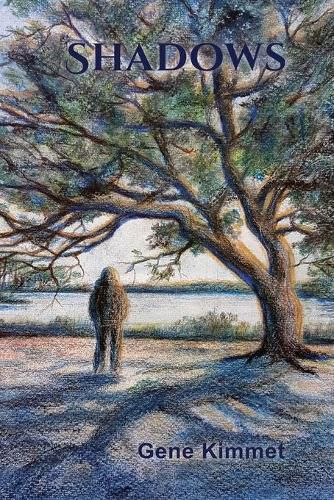 Cover image for Shadows