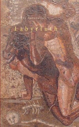 Cover image for Labyrinth