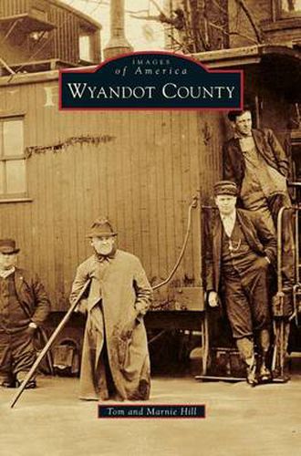 Cover image for Wyandot County