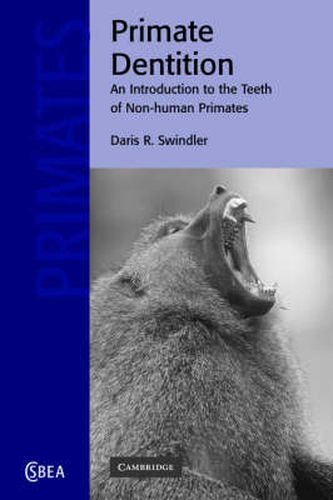 Cover image for Primate Dentition: An Introduction to the Teeth of Non-human Primates