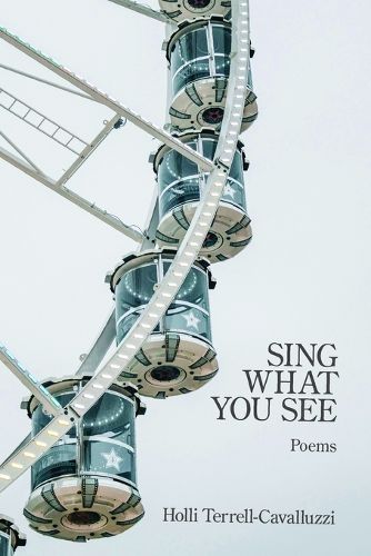 Cover image for Sing What You See
