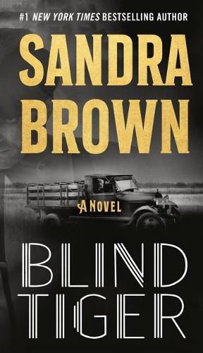 Cover image for Blind Tiger