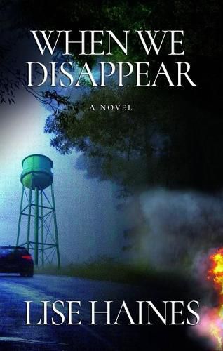 Cover image for When We Disappear: A Novel