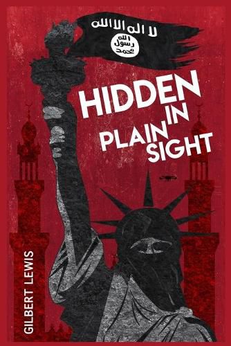 Cover image for Hidden in Plain Sight