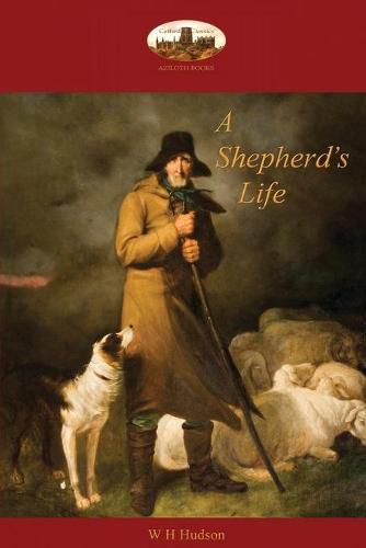 Cover image for A Shepherd's Life: Impressions of the South Wiltshire Downs (Aziloth Books)