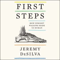 Cover image for First Steps: How Upright Walking Made Us Human