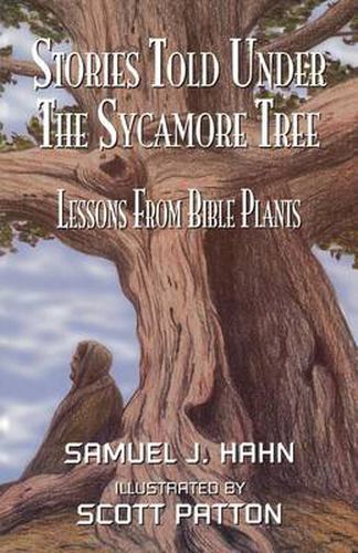 Cover image for Stories Told Under the Sycamore Tree: Lessons from Bible Plants