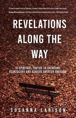 Cover image for Revelations Along the Way