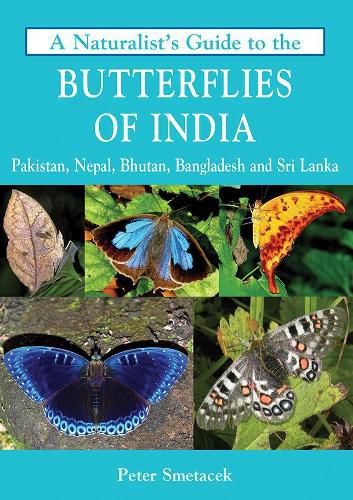 Cover image for A Naturalist's Guide to the Butterflies of India