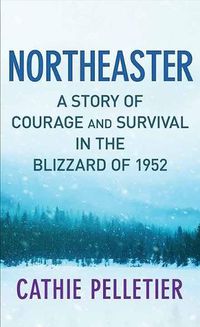 Cover image for Northeaster