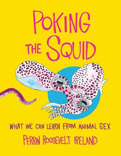 Cover image for Poking the Squid