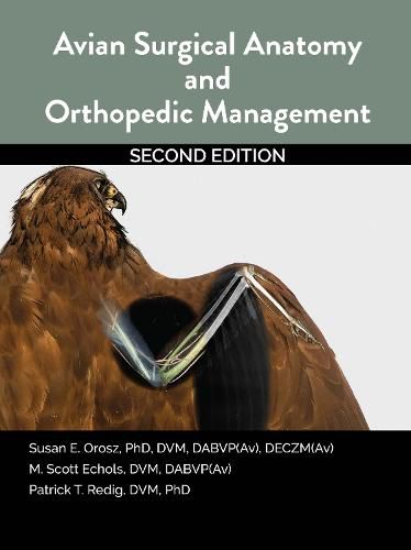 Cover image for Avian Surgical Anatomy And Orthopedic Management, 2nd Edition