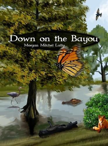 Cover image for Down on the Bayou