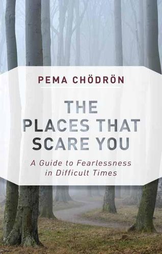 Cover image for The Places That Scare You: A Guide to Fearlessness in Difficult Times