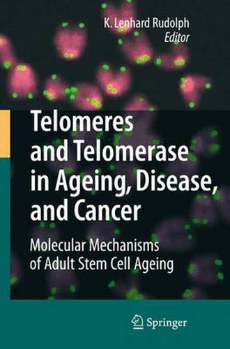 Cover image for Telomeres and Telomerase in Aging, Disease, and Cancer: Molecular Mechanisms of Adult Stem Cell Ageing