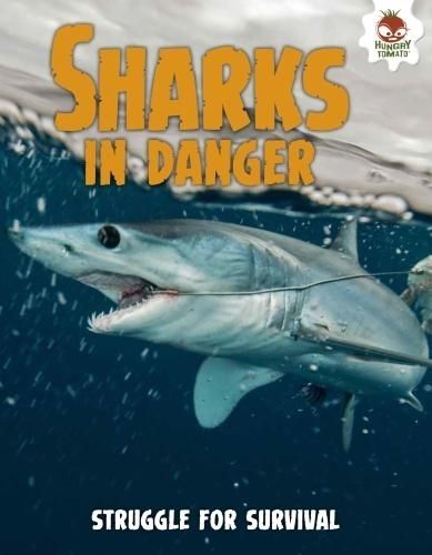 Cover image for Shark! Sharks in Danger