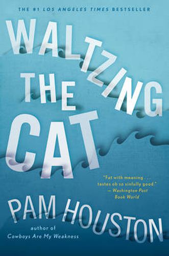 Cover image for Waltzing the Cat