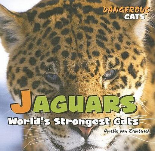 Jaguars