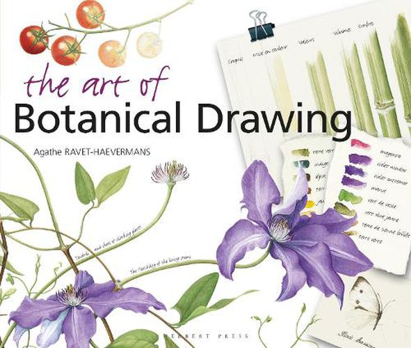 Cover image for The Art of Botanical Drawing