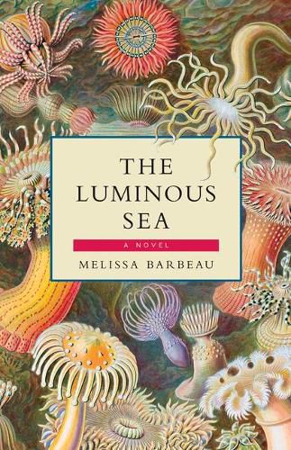 Cover image for The Luminous Sea
