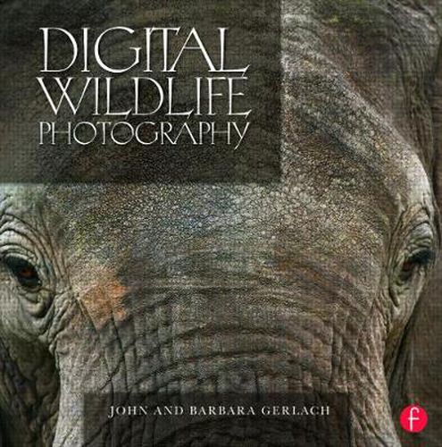 Cover image for Digital Wildlife Photography