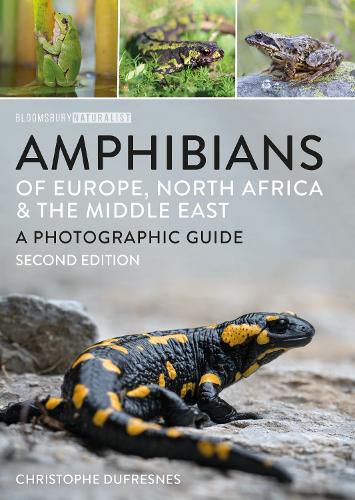 Cover image for Amphibians of Europe, North Africa and the Middle East