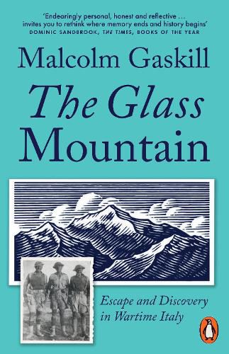 Cover image for The Glass Mountain
