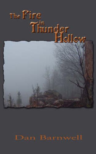 Cover image for The Fire in Thunder Hollow