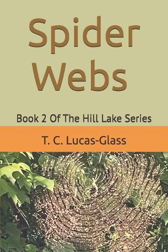 Cover image for Spider Webs