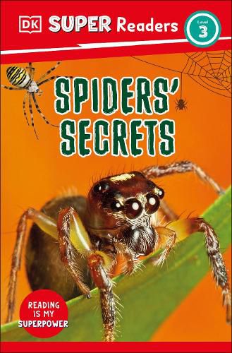 Cover image for DK Super Readers Level 3 Spiders' Secrets